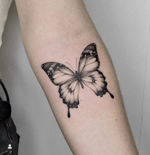 Idée de tatoo papillon pour femme sur avant bras